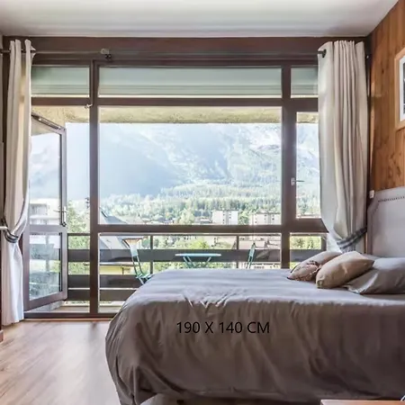 Grand 25 M2, Lumineux, Central, Vue Mont-blanc Daire Chamonix
