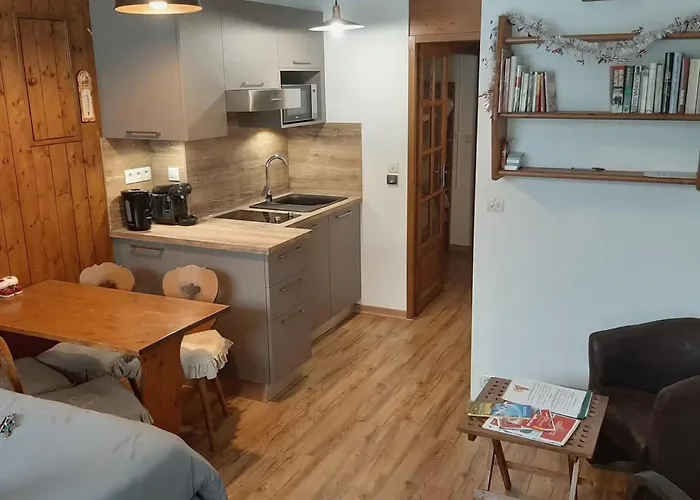 Appartement Grand 25 M2, Lumineux, Central, Vue Mont-blanc *